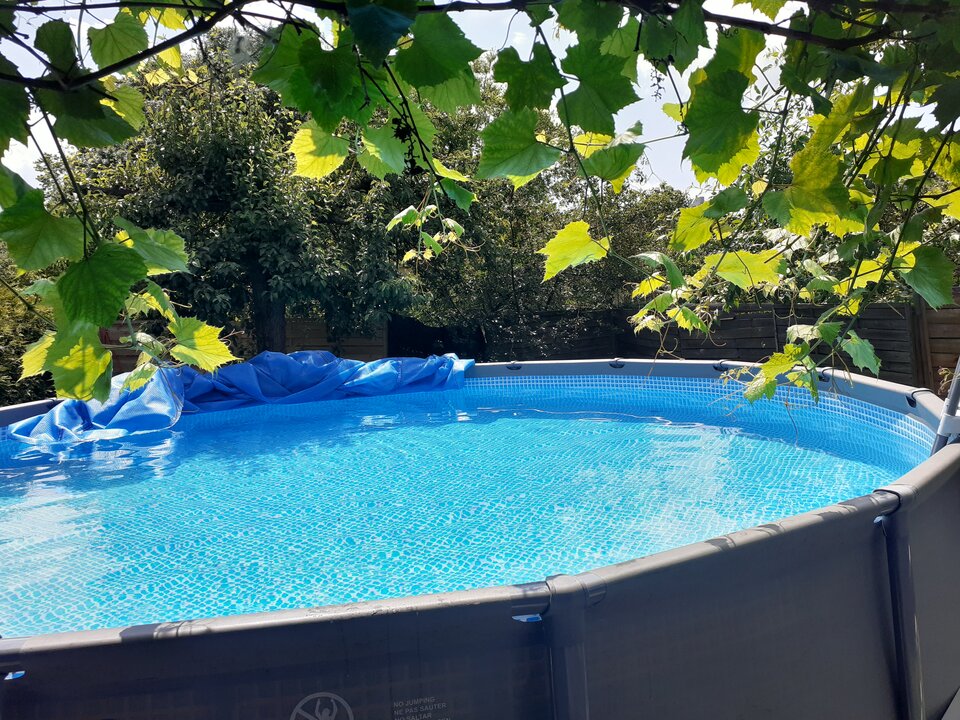 20200627_115927.jpg - redxxxx