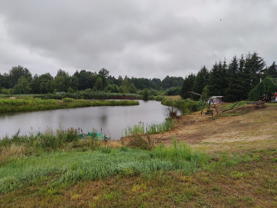 IMG_20220731_122410.jpg - Mybi40