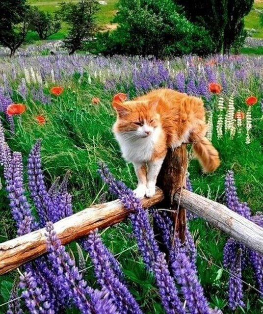 FB_IMG_1659275388790.jpg - Cierpliwy_on