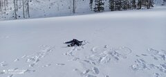 IMG_20220212_105734.jpg