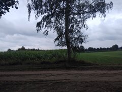 Odpoczynek i zbieranie myśli na łonie natury 🤔