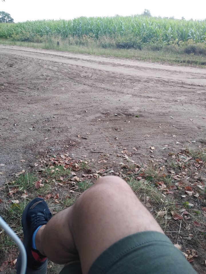 Samotny w Holandii ☹️ - wawamybi