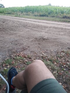 Samotny w Holandii ☹️