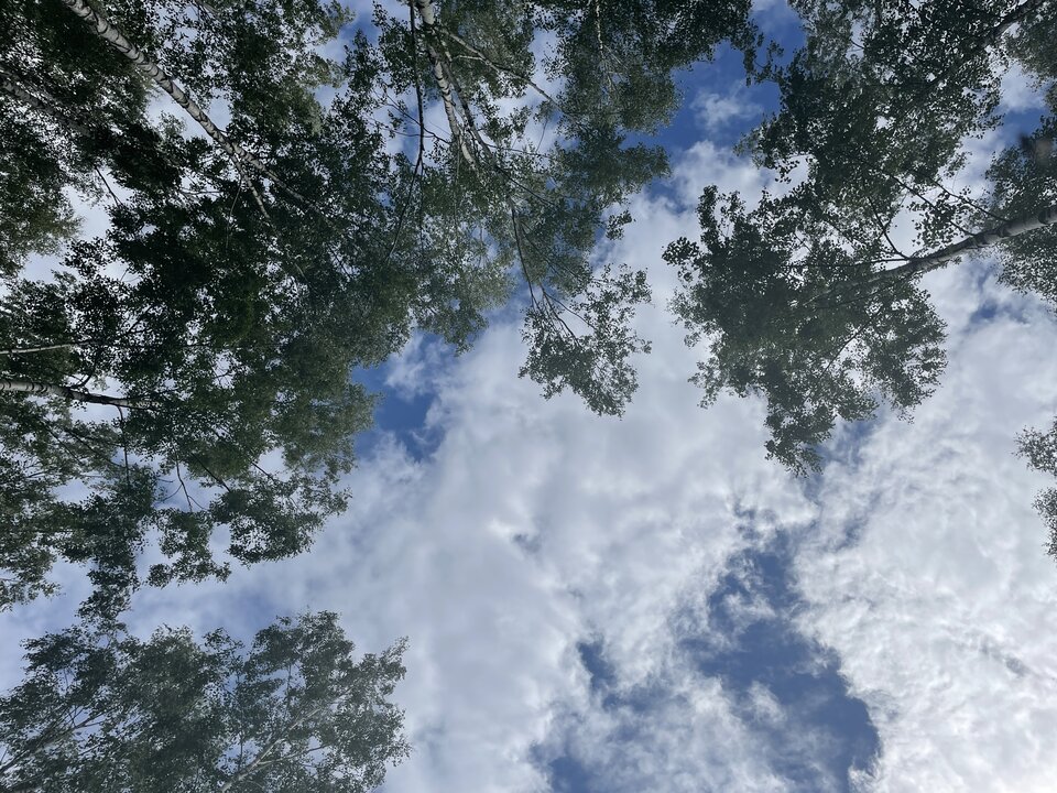 EA2A0E80-FCF5-478F-87B8-FA0B356EBE0C.jpeg - Marcell1976