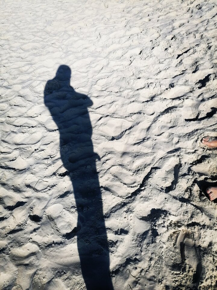 IMG_20220731_172100.jpg - PoczatkujacyNaturysci