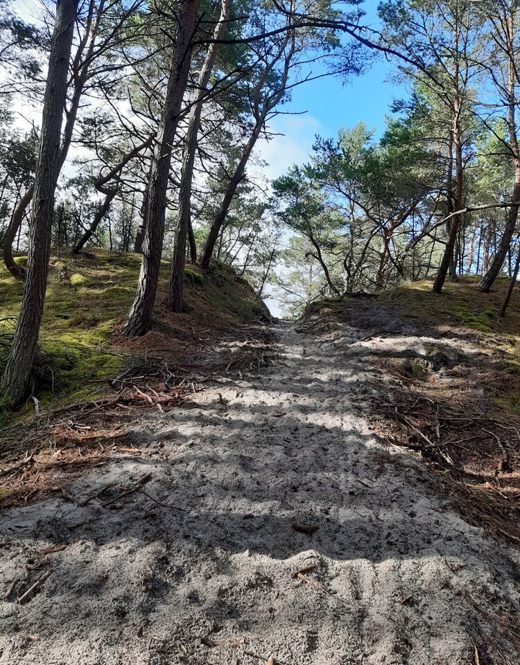 20220727_165700.jpg - love111