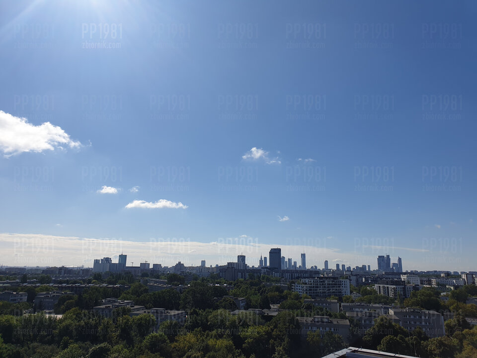 20220801_093859.jpg - pp1981