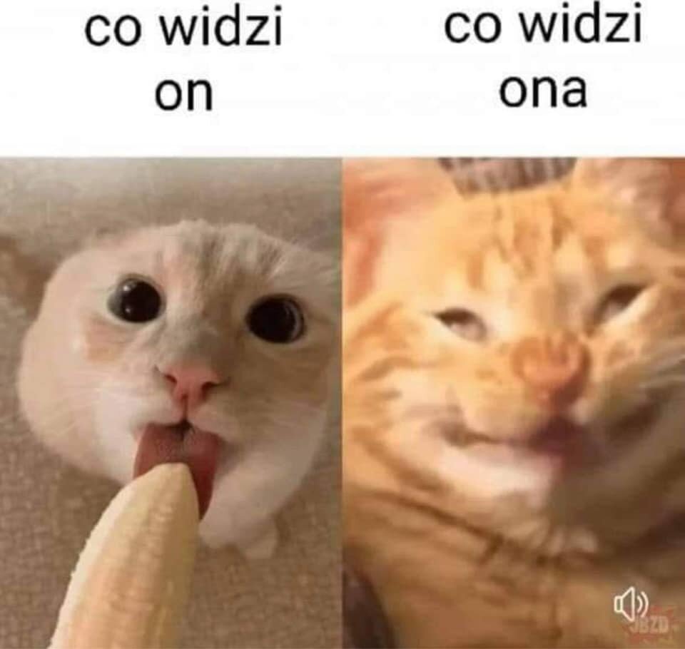Co widzi ... 🤣 - Ustatkowani