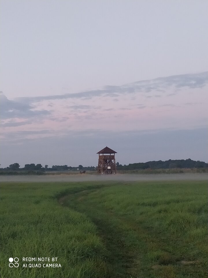 IMG_20220801_202256.jpg - napalony2324