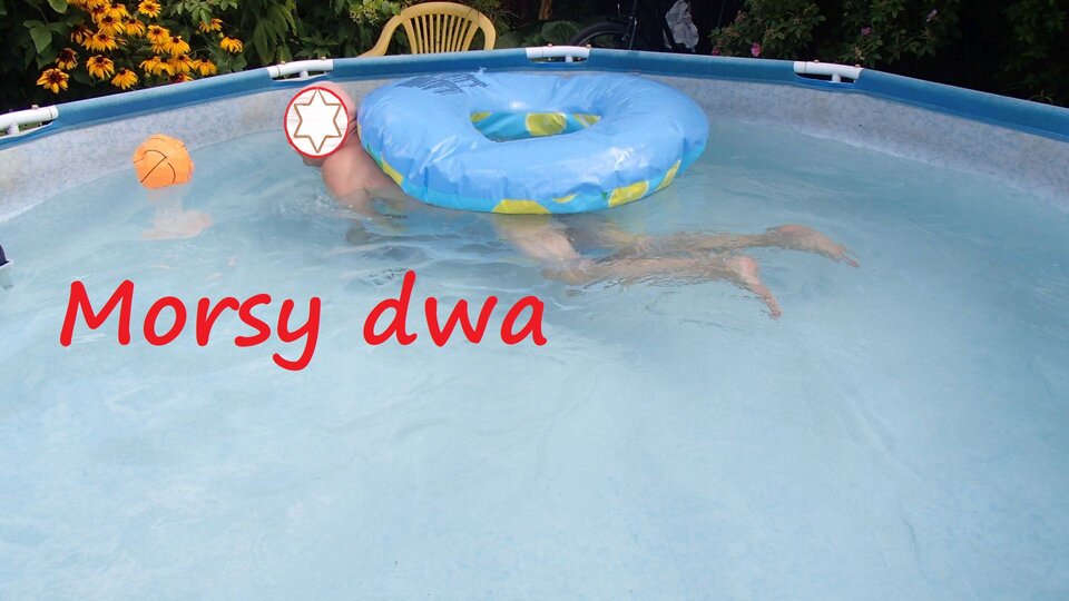 Zbiornik 1759 - Morsy_dwa