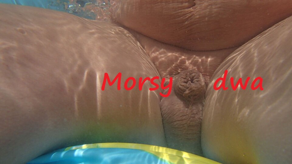 Zbiornik 1764 - Morsy_dwa