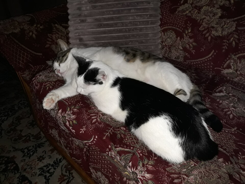 20220131_161245.jpg - CUBUT