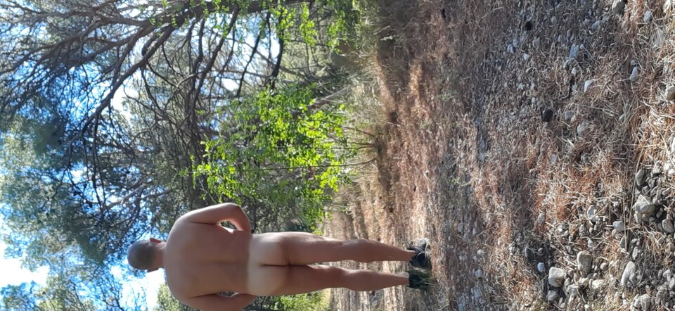 16594186648719146432222763898591.jpg - lekter84