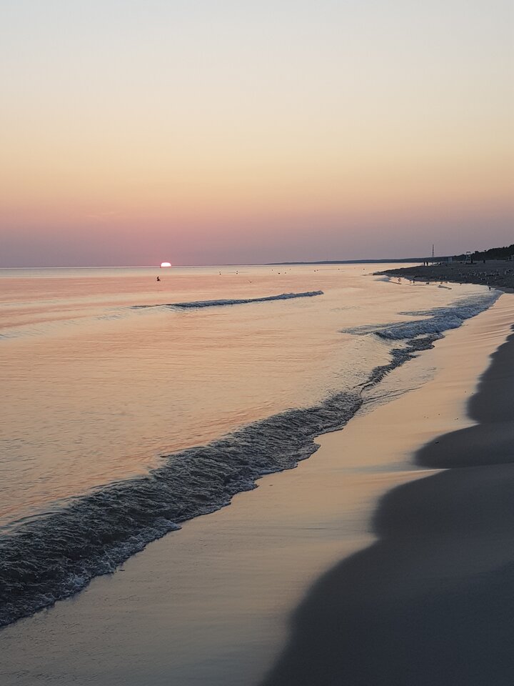 20220721_043705.jpg - harryraider