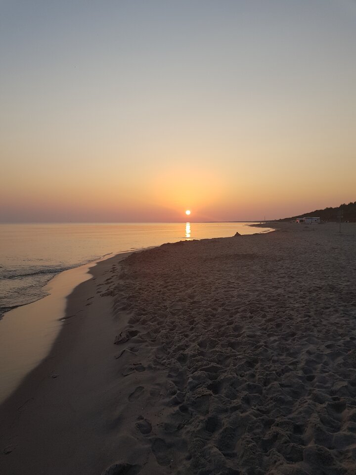 20220721_045300.jpg - harryraider