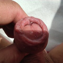 IMG_20220802_131255.jpg