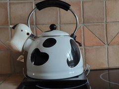 Krowa na ... gazie ;)