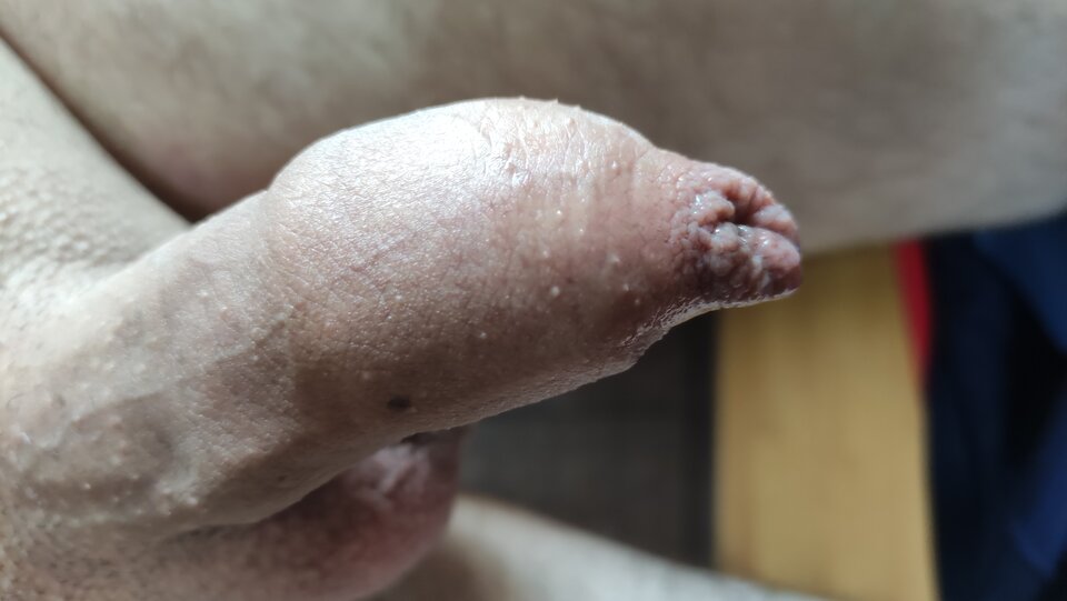 IMG_20220803_110750.jpg - Kriss7788