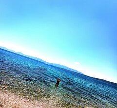 IMG_20220803_133739.jpg