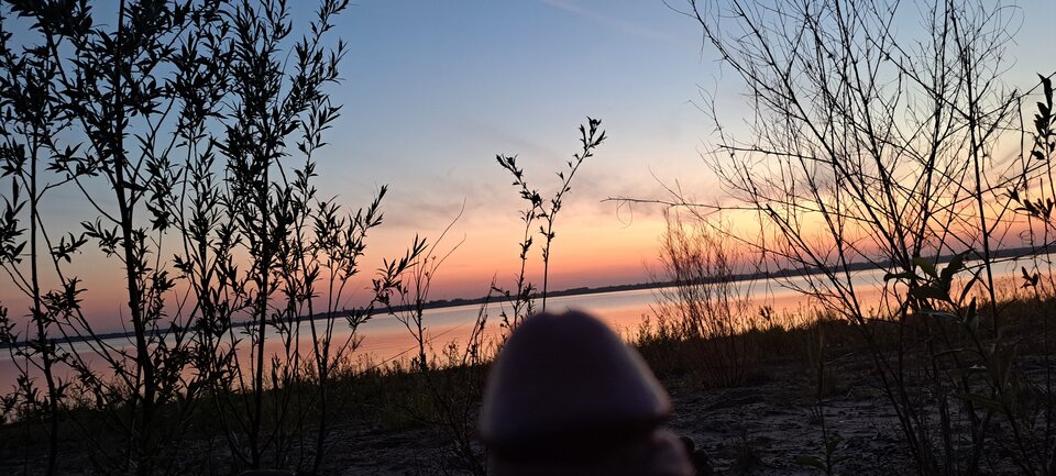 20220803_205831.jpg - Ramonika