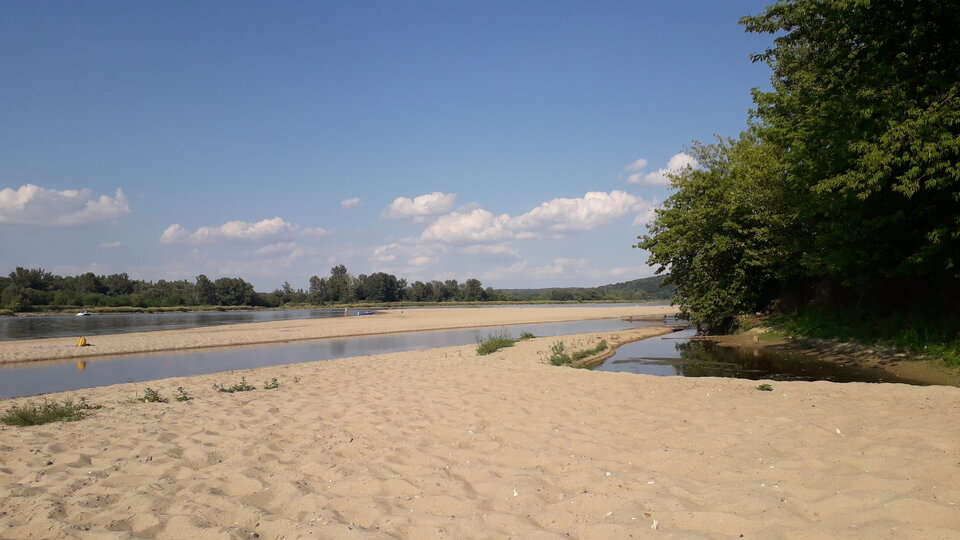 20220803_163447.jpg - MilyChetnyRealnie