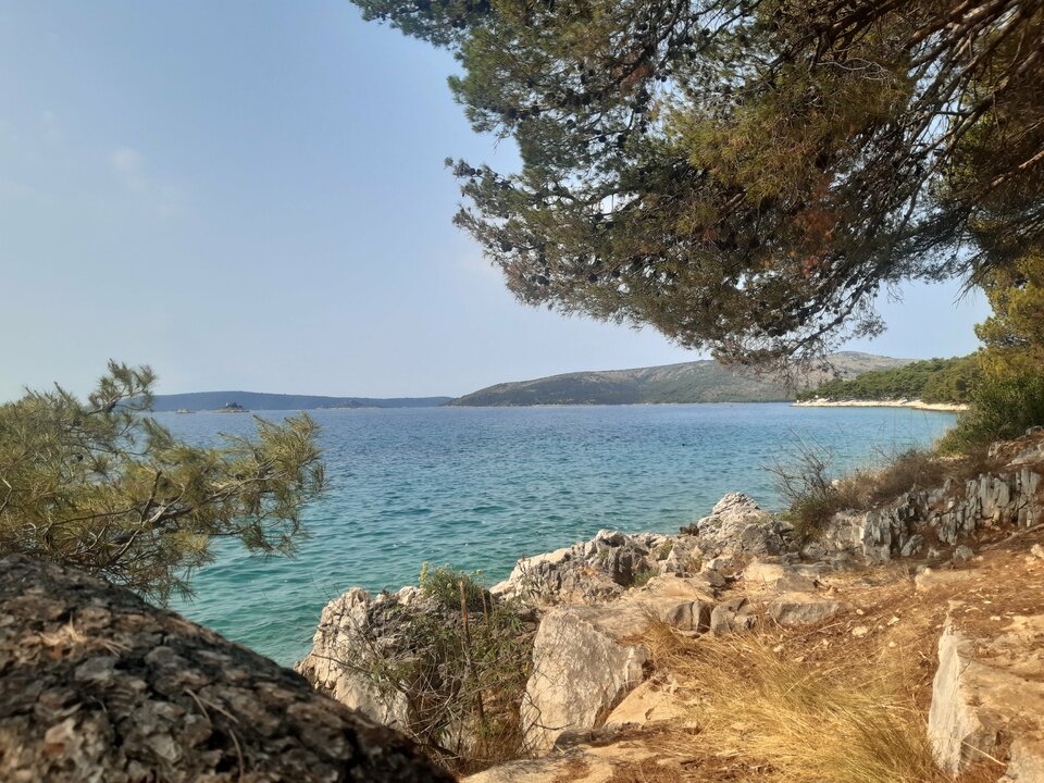 20210824_105135.jpg - para_rt