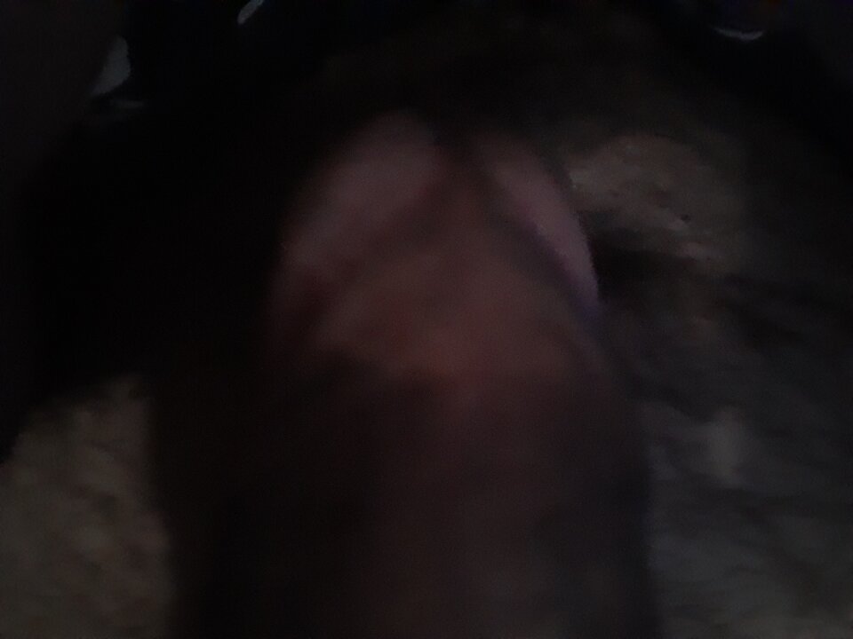 16595642065377200864967012258478.jpg - gut74