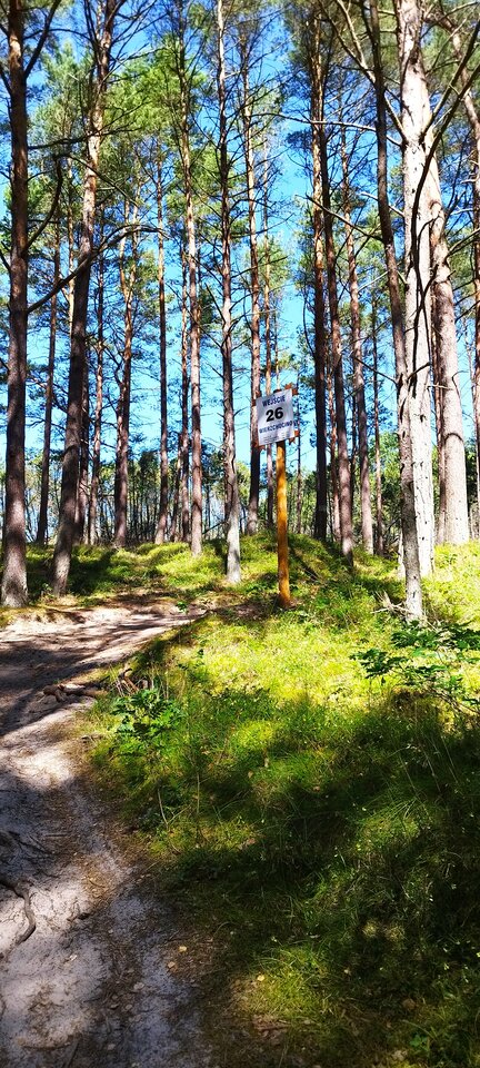 1659568874499.jpg - kafelx