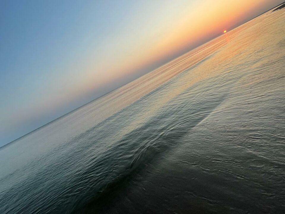 IMG-20220726-WA0023.jpg - harryraider