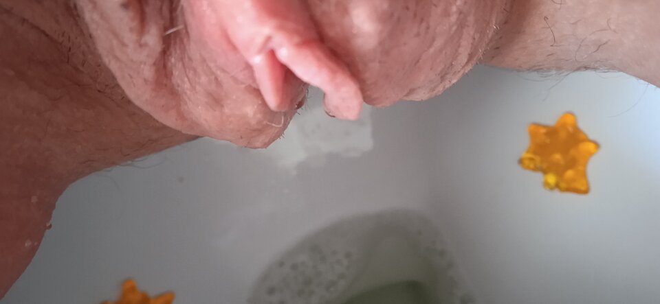 IMG_20220804_122946.jpg - Dorotapa