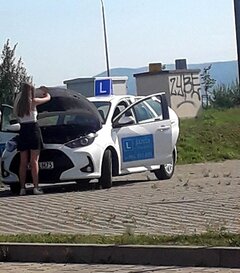 Taka dupeczka mnie odwiedziła dzisiaj w pracy 