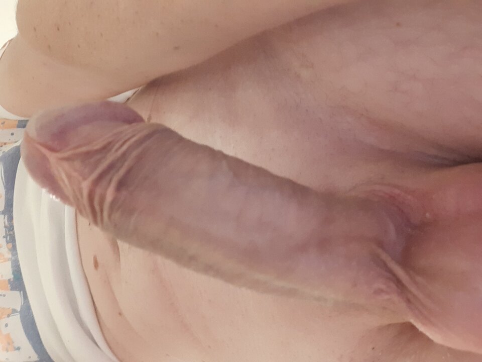 16596367284434583042633244011469.jpg - 250272