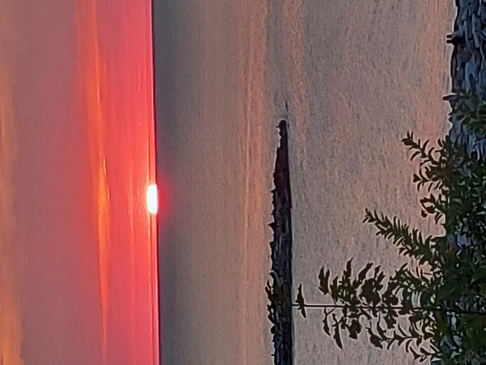 20220803_205143.jpg - A7REPPU