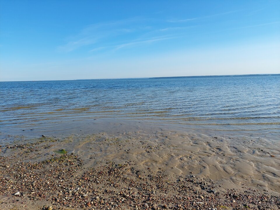 Zatoki szum ... - Tomasz39lat