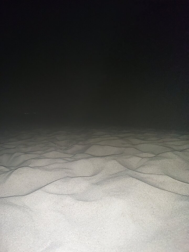 20220804_225416.jpg - Reksiki