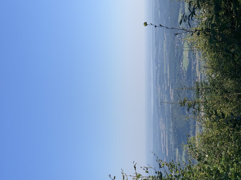 A37CDBE3-936D-4E79-96E1-7A0C47E4976E.jpeg - tom745