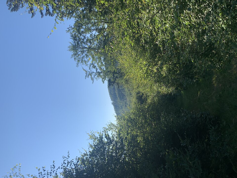 B0705489-2127-43E6-BD39-1C410E345B28.jpeg - tom745