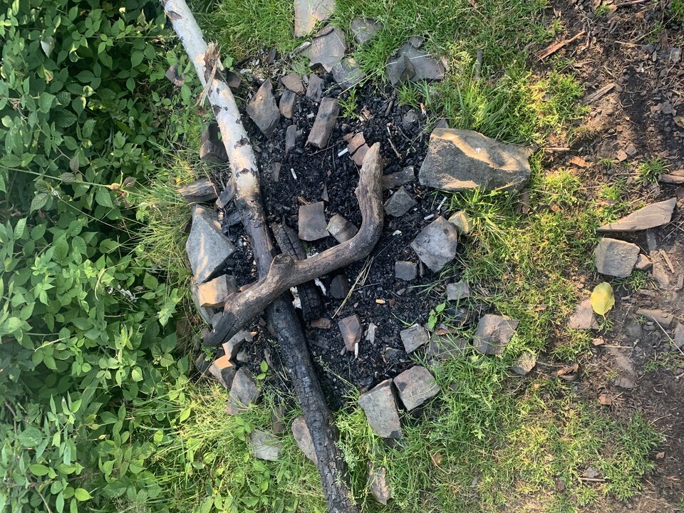 F5C1D4B1-29F8-4B33-AC24-492B248A4C3D.jpeg - tom745