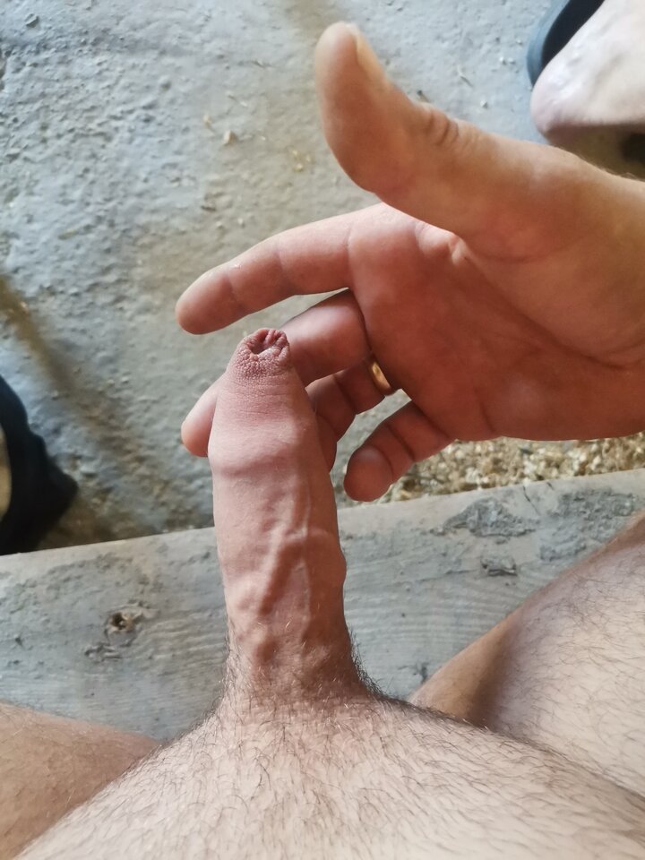 16596942507904487426334969160217.jpg - pawel198304