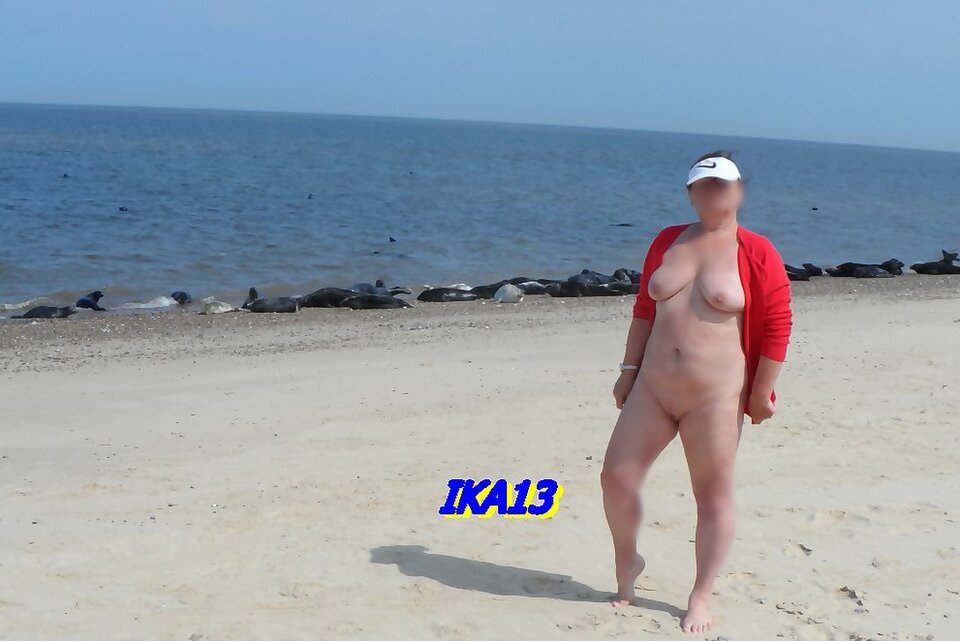 SAM_34711.jpg - ika13