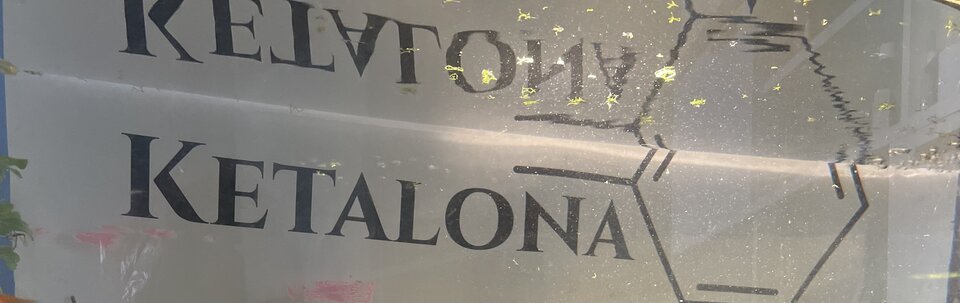 C313CEDE-5E6F-4D7D-A0EB-042FBD12BBF2.jpeg - Ketalona