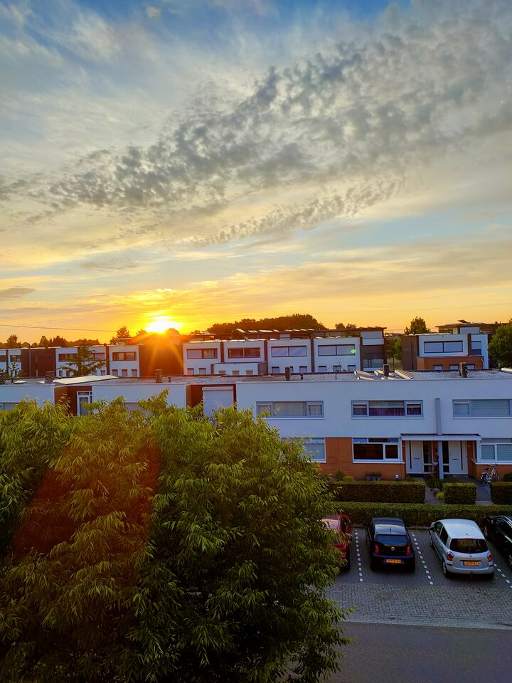 IMG20220725060905.jpg - Kolega_ze_zbiornika