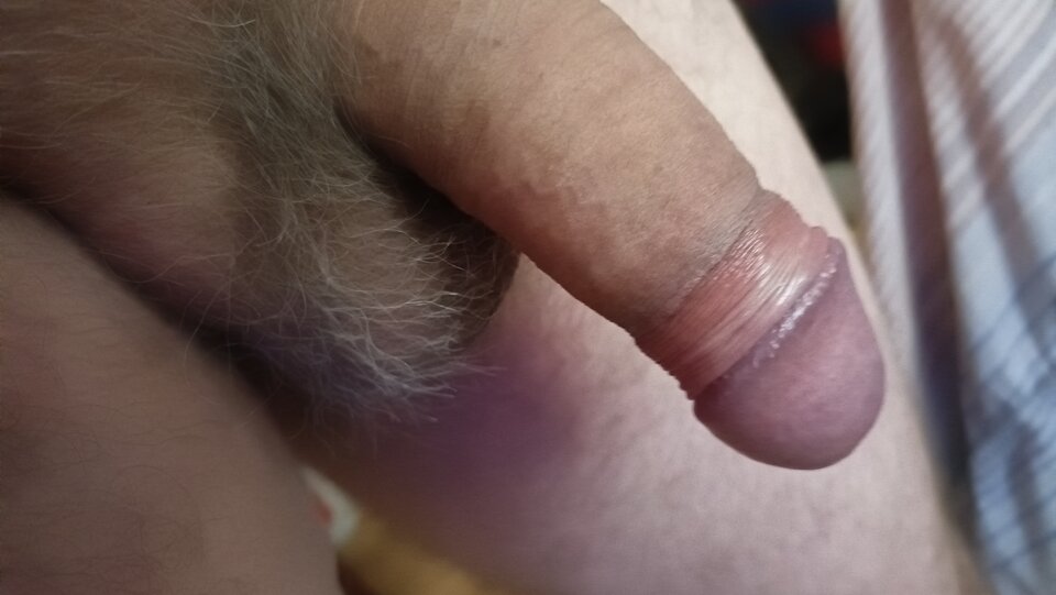 IMG20220806083151.jpg - ardas1