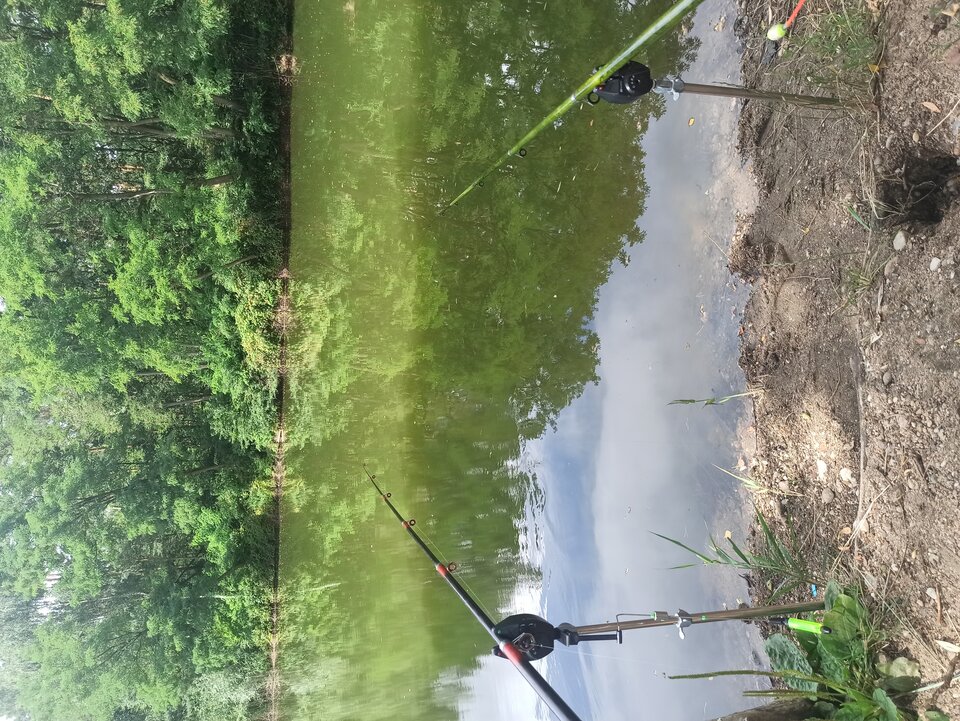 16597819872818763800032603366910.jpg - velur11