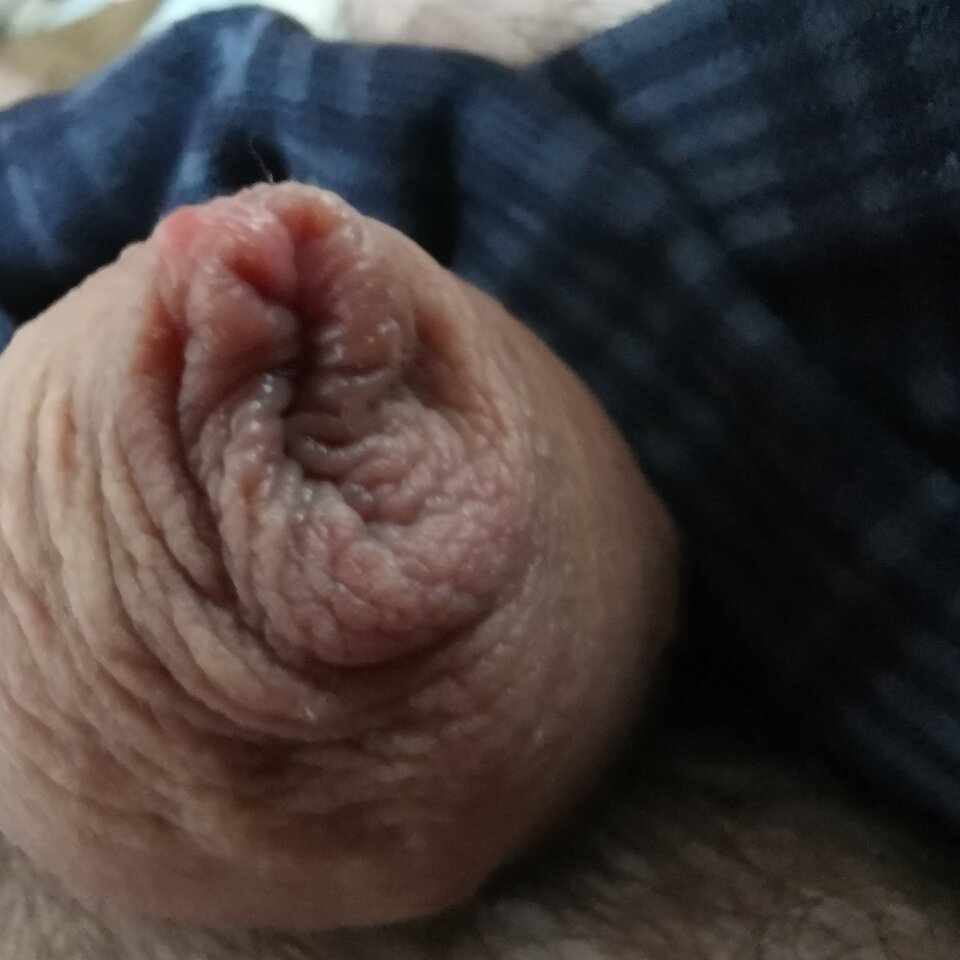 IMG_20220806_145901.jpg - Zi0001