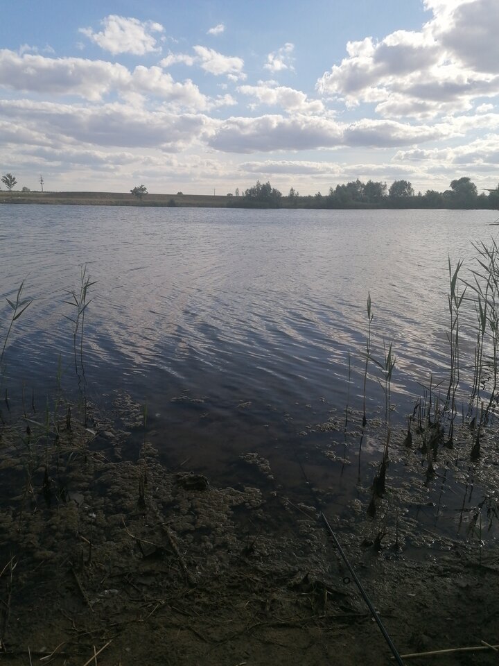 16597984175394129523679342090709.jpg - dig25cm