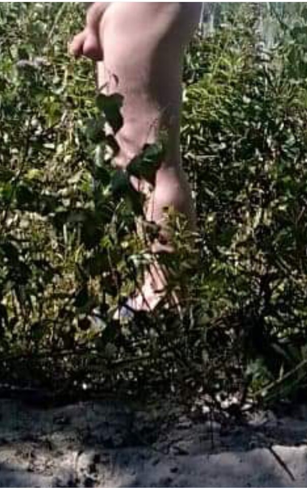 Mąż w stroju Adama - Napaleni75