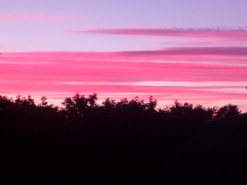 IMG_20220806_202956.jpg - 19sylwek86