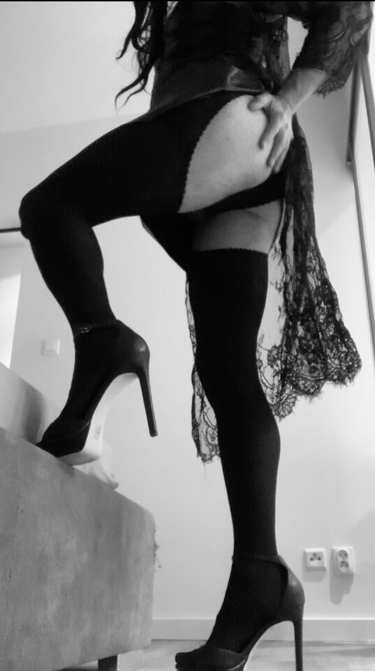 3A273089-AE6F-49C9-8A66-67F8F4D211F7.jpeg - FabStock