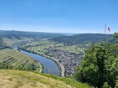 20210613_124020.jpg